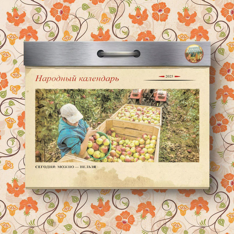 [Изображение: photo-2025-08-03-09-14-20.jpg]