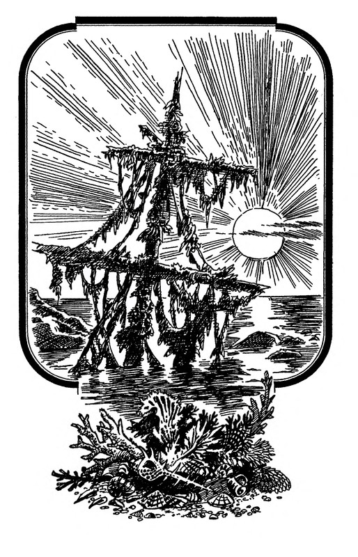 p0005