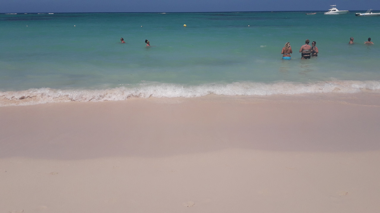 Algas (Sargazo) en playas de Punta Cana y Rep. Dominicana