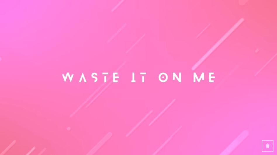 Waste it on me Steve Aoki feat BTS