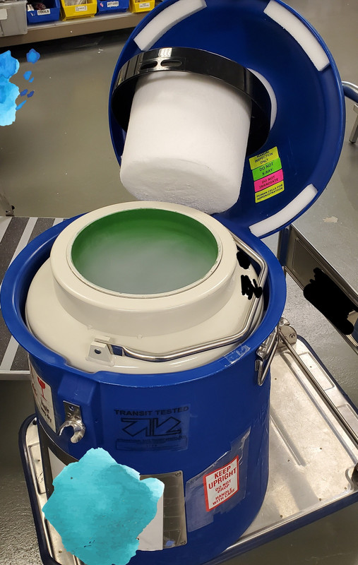 liquid-nitrogen
