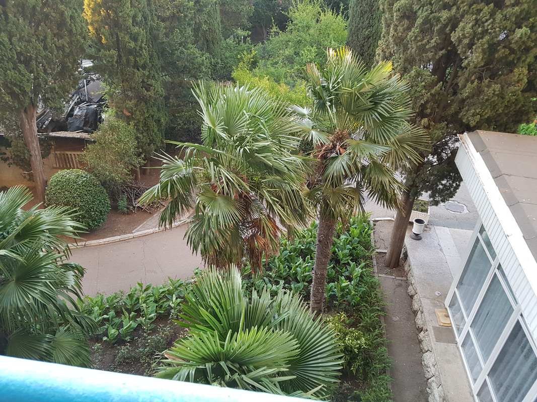 03 вид из номера 2