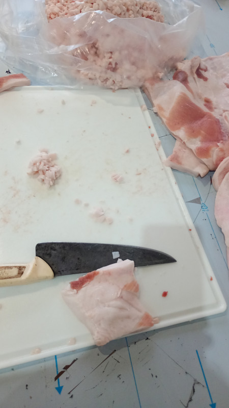 IMG_20250726_174730238_MFNR