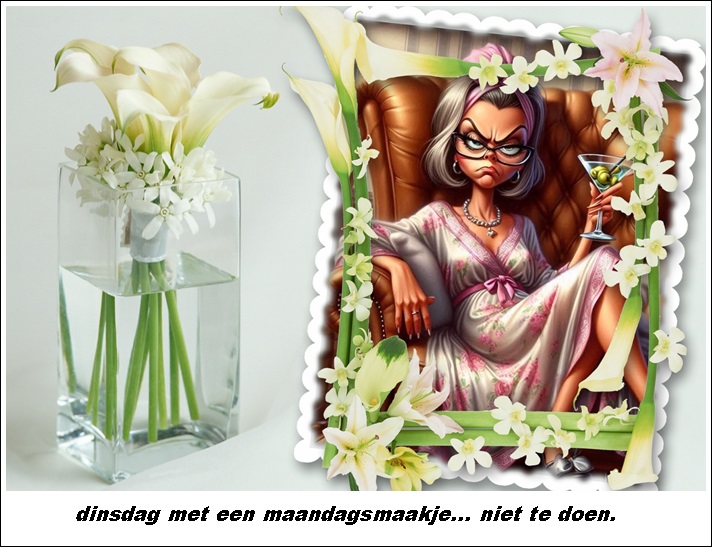 Klik op de afbeelding om de link te volgen