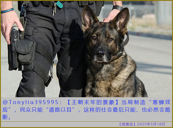 https://i.postimg.cc/cCmB2wrM/20250518-bt-6.jpg