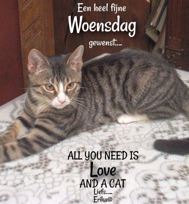 591FA119-5446-41B2-BB57-7643FFD0064F