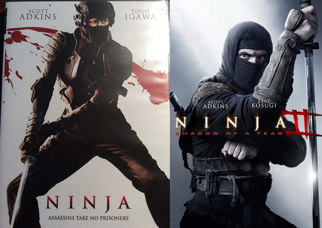 01-Ninja-Shadow-Of-A-Tear-2013-01.jpg