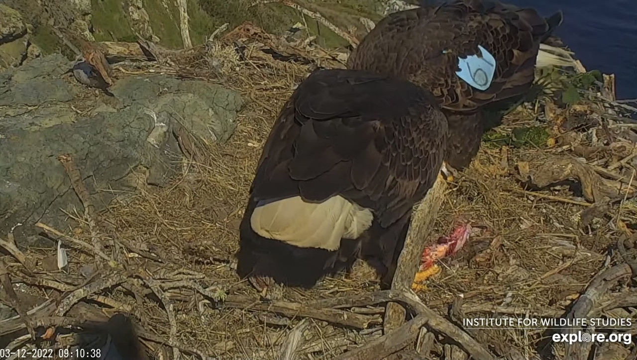 91A9D6BB-C9A0-448D-A5EC-F67A4D0288BE