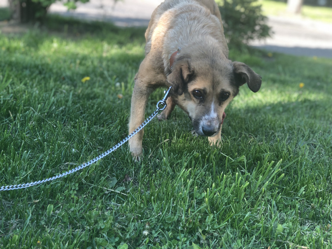 BF1B2CE6-6D68-4CB3-99F7-0E2B84AA22E9