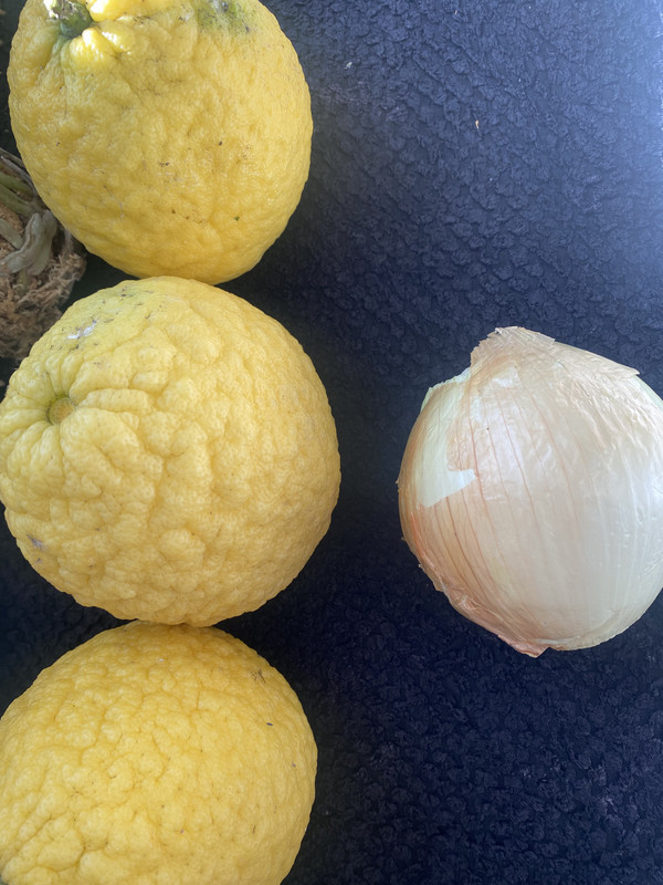 1D33B5C4-D930-49B9-82A8-C9F5EBA5886A