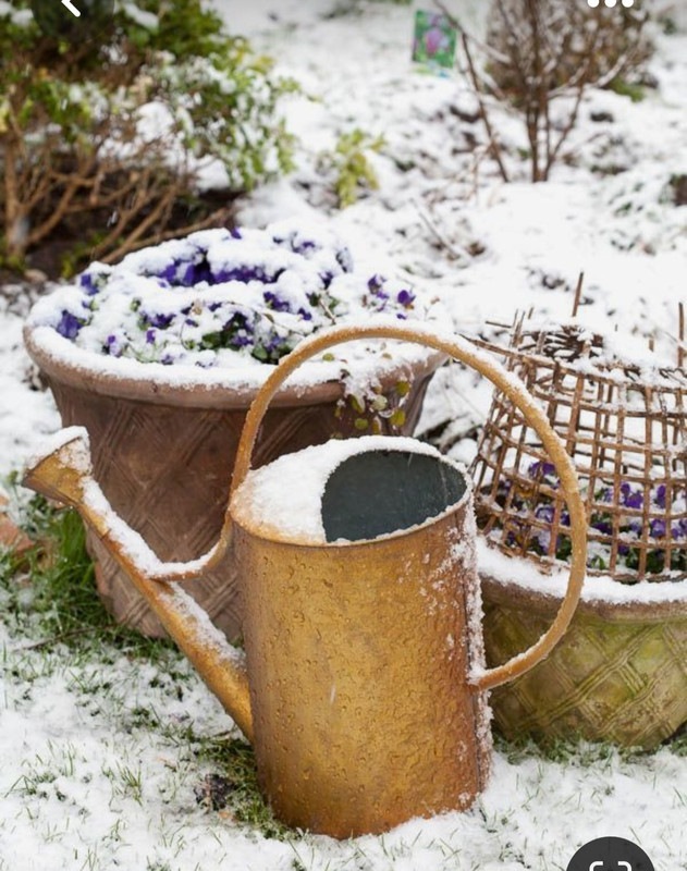 Screenshot_20230618_214502_Pinterest