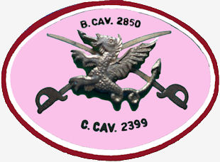 CCav2399-310