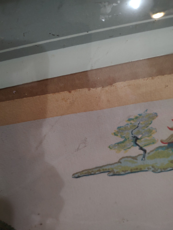 IMG_20241122_174713498