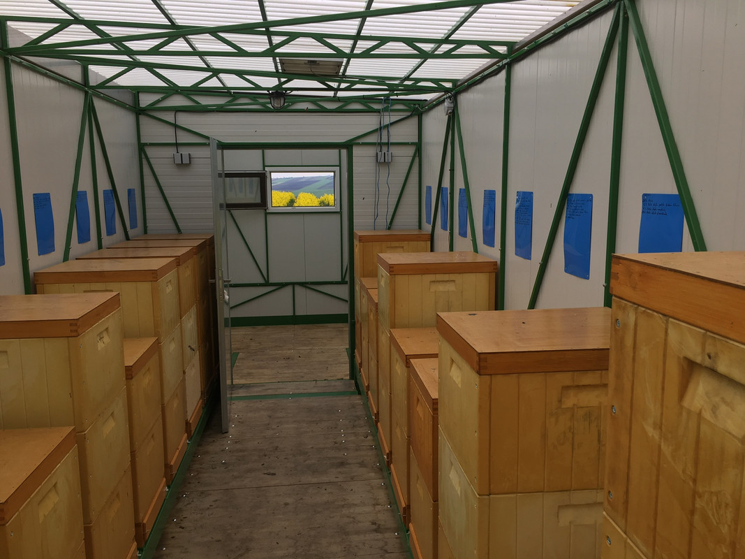 4D3DE111-B226-4444-8D5D-B443519EC076