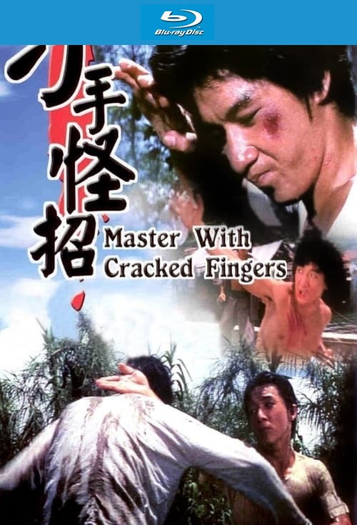  Master with Cracked Fingers (1979) 720p HEVC BluRay ORG. [Dual Audio] [Hindi or Chinese] x265 ESubs [550MB] Full Movie Download