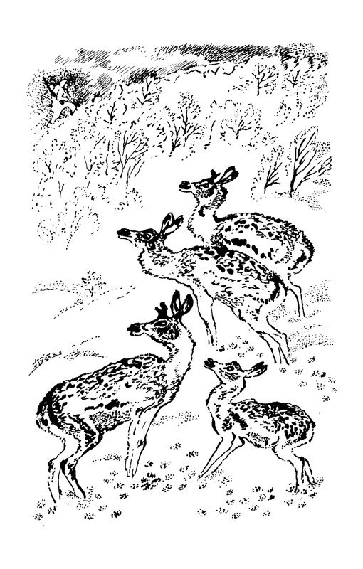 1993-page-0107