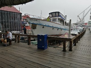 venture11