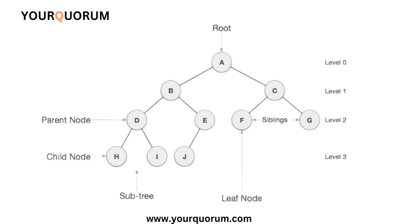 Tree-Data-Structure