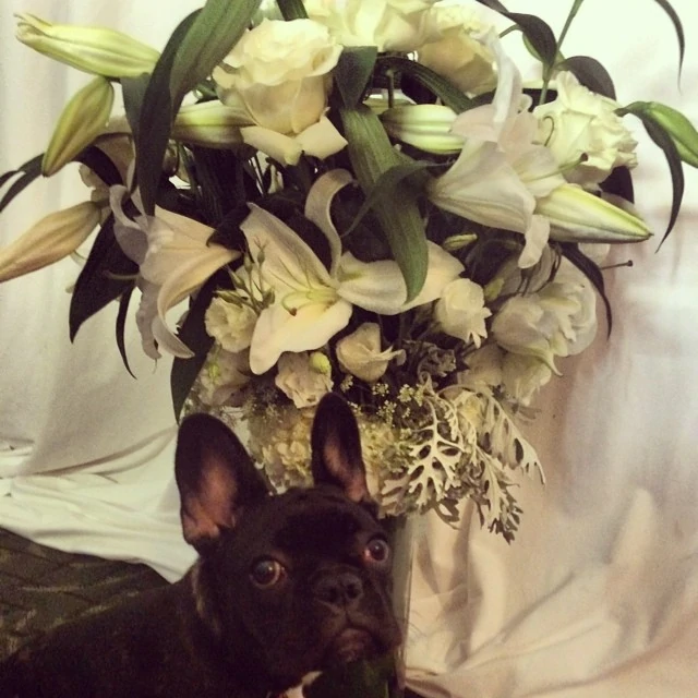 7-22-14-Instagram-003.webp