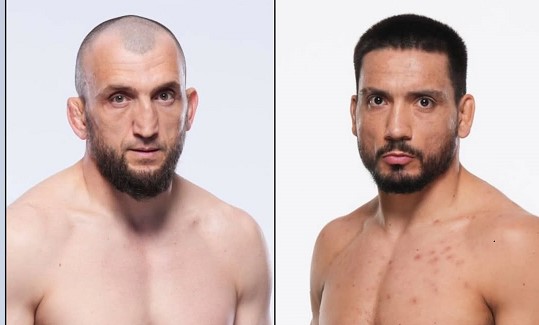 Муслим Салихов срещу Карлос Леал на UFC on ABC 9