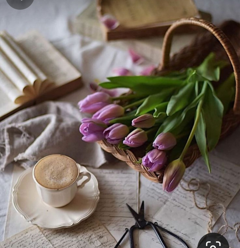 Screenshot_20240506_231419_Pinterest