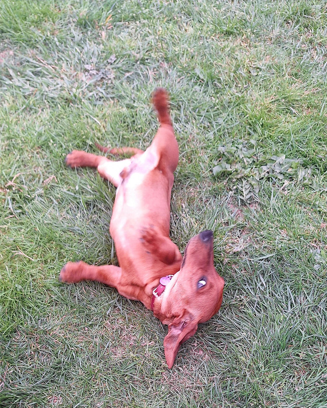 [Image: 20250413-193801.jpg]