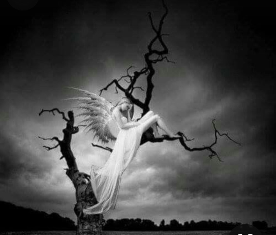 Screenshot_20240111_203623_Pinterest