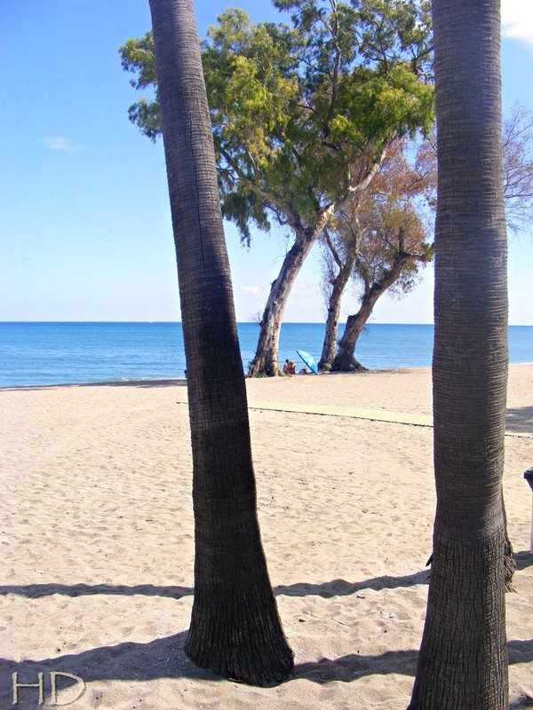 beach-palms-San-Pedro-D-D-HD-Spain.jpg