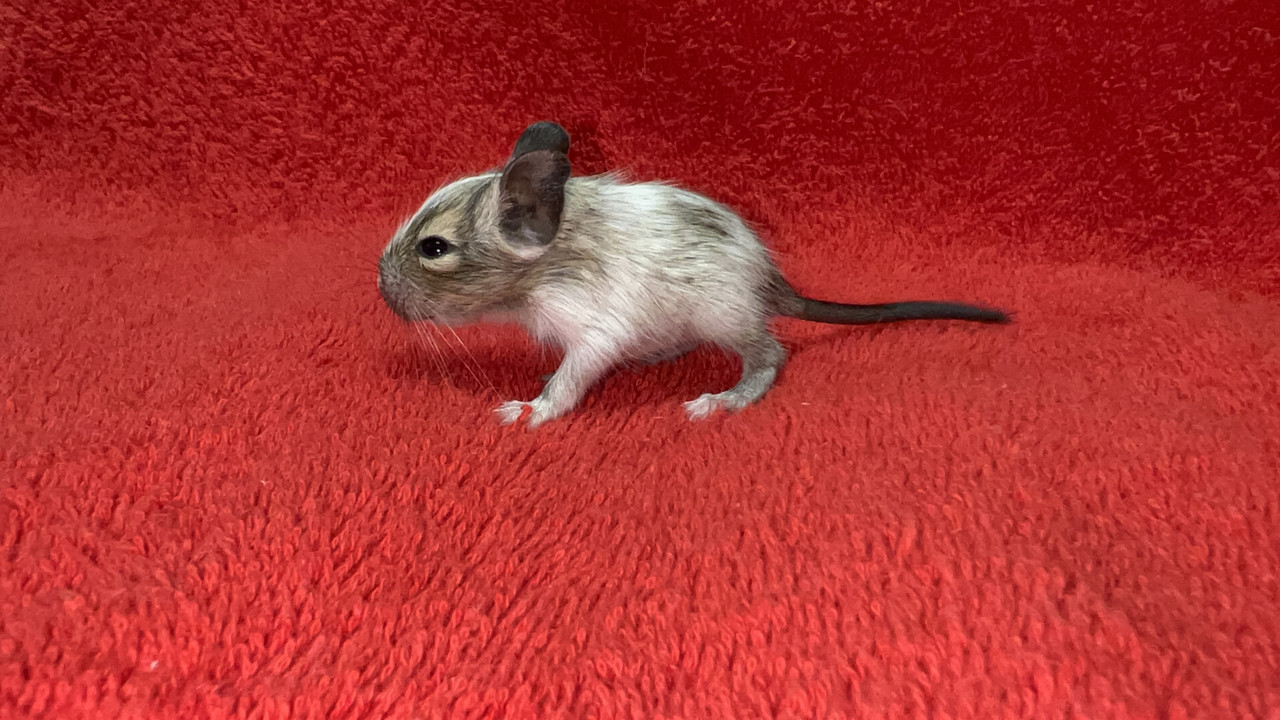 CB72BAD5-EB16-43C5-8CDB-70D602A59B64