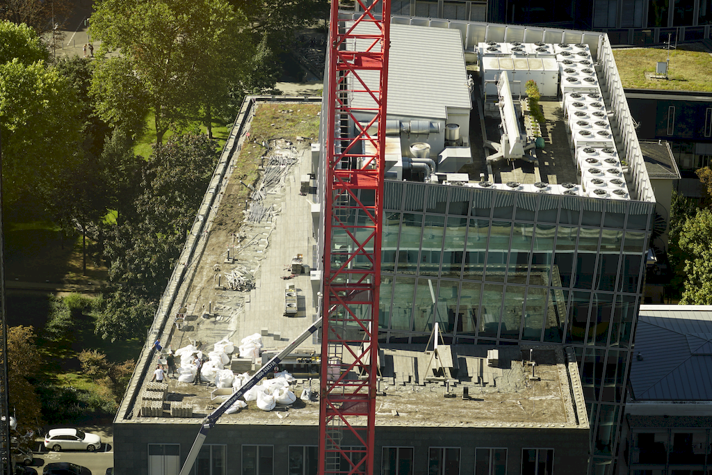DSC1325-1024-683.png