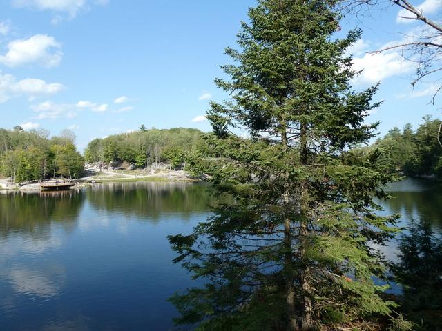 Sucrerie de la Montagne y Parc Omega - DOS SEMANAS EN EL ESTE DE CANADÁ (ONTARIO Y QUÉBEC) (9)