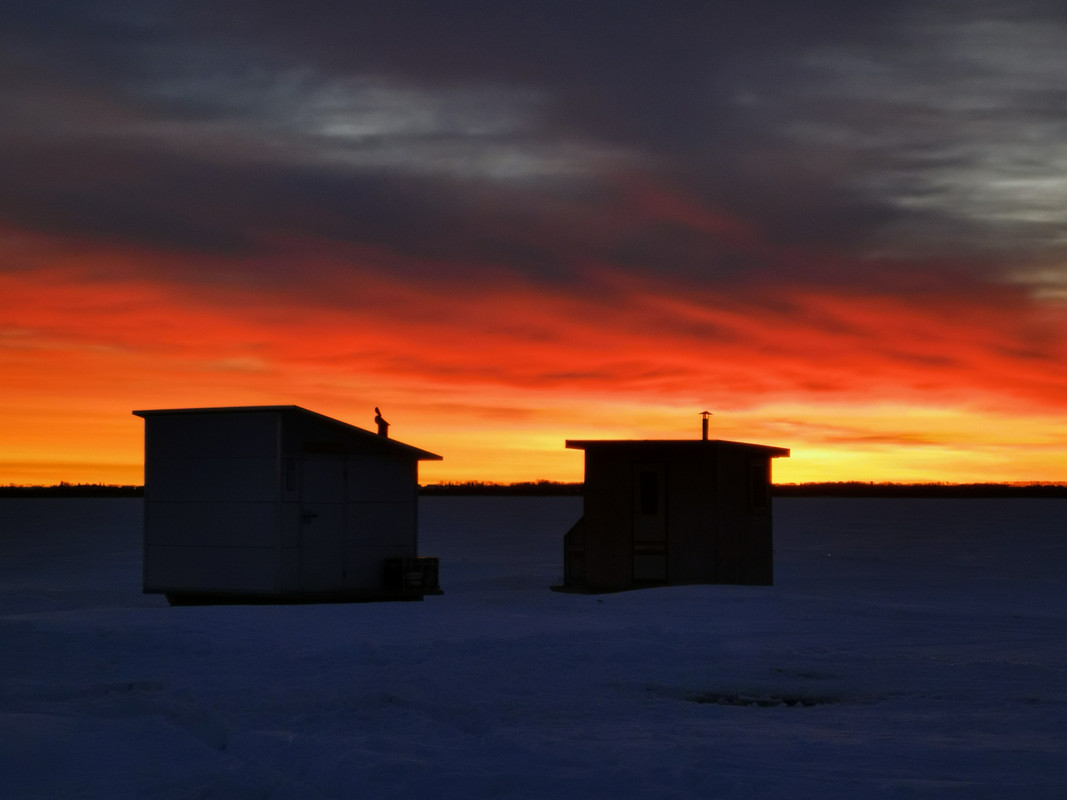 IMG_20220116_081503 (1)