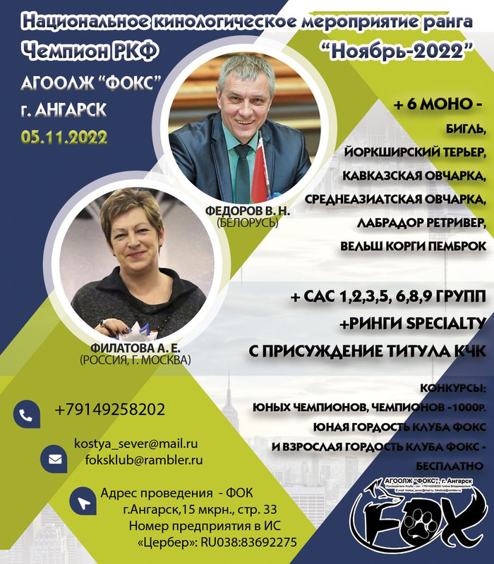 баннер Фокс Ноябрь 2022 новый