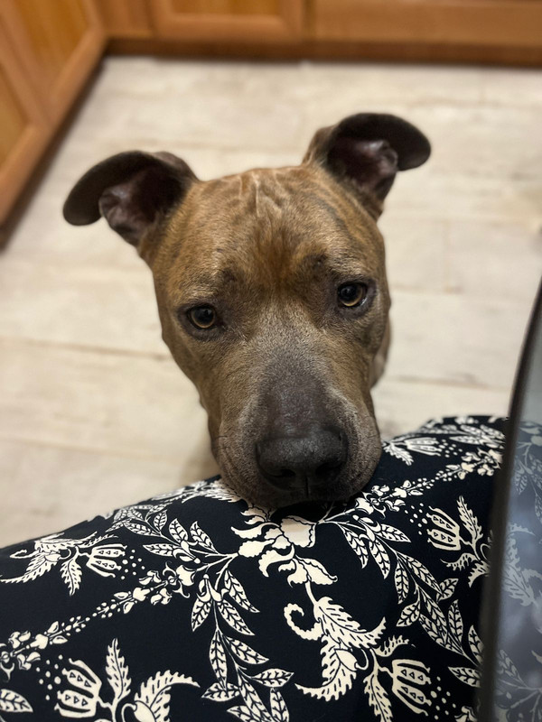 2F9DBE99-3B04-4C1B-BB37-1D2EFCC0F588