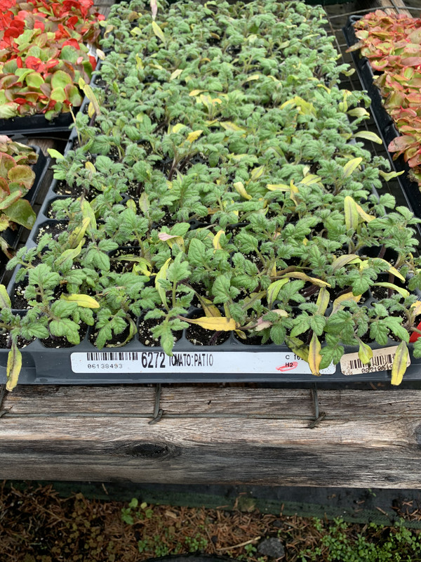 59AD2F2E-A72A-4E73-8681-648269604EFF