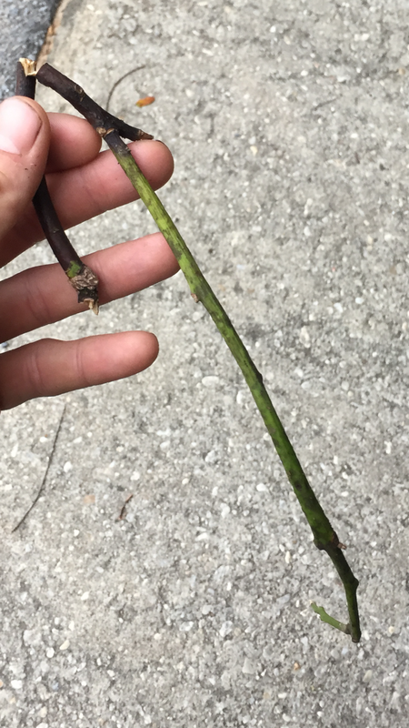 8AA2B843-38CD-447B-8E06-DC010DE82E2C