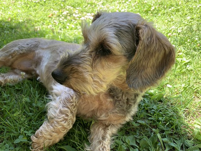 [Image: B0-B106-E6-BA07-4501-8-FA9-B409-D5-B95-AAA.jpg]