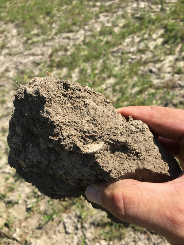 44307E5A-F77A-49CC-ADEA-D1A6325DC414