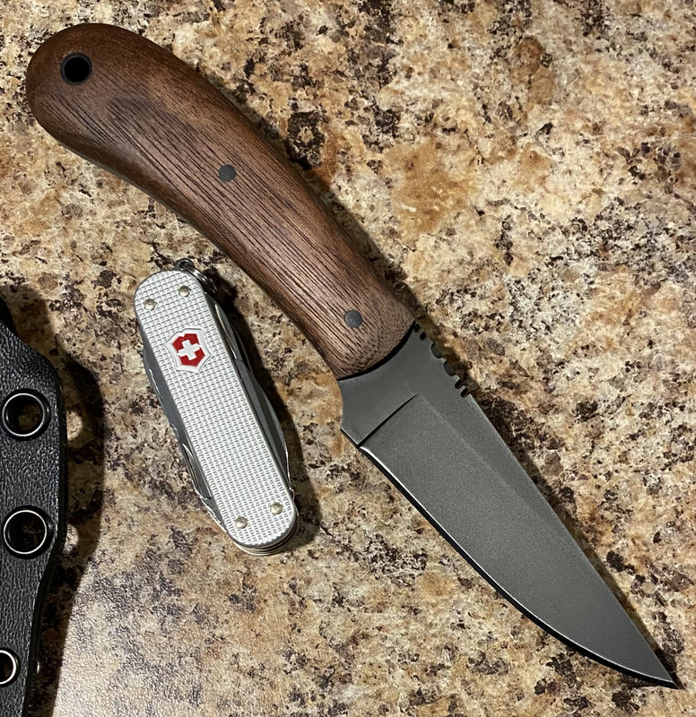 A37320F0-05D3-4EE0-9DF6-770EE1ABD8D6