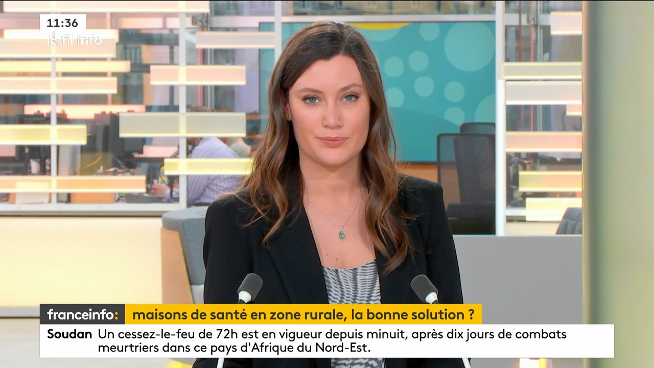 Le fil info 2023_04_25_08_29_00.ts_snapshot_02.10.14.936