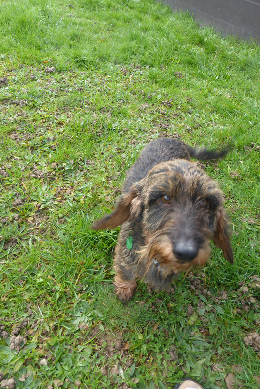 [Image: P1040052.jpg]