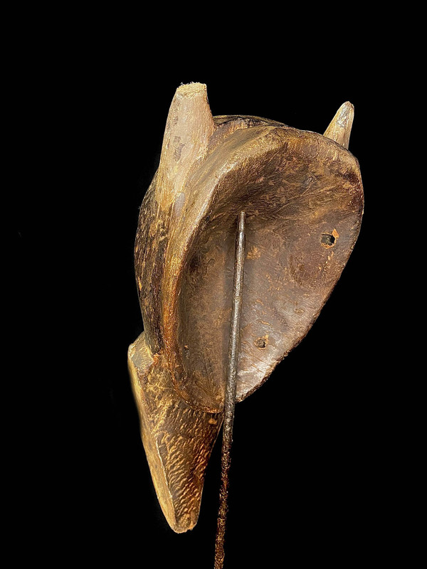 large image 10