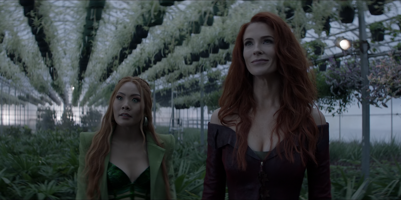 Batwoman.S03E10.Toxic.1080p.10bit.BluRay.AAC5.1.HEVC-Vyndros.mkv_snapshot_03.17_[2022.08.16_14.39.48