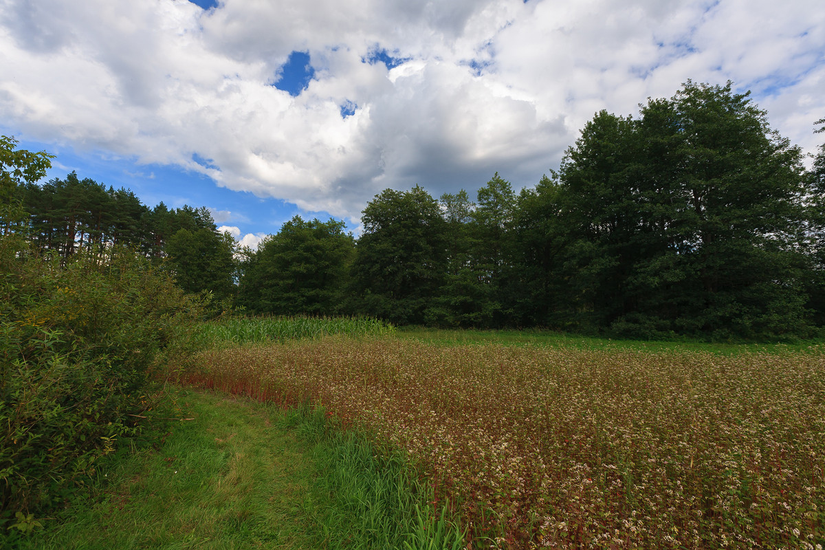 IMG_3458-восстановлено