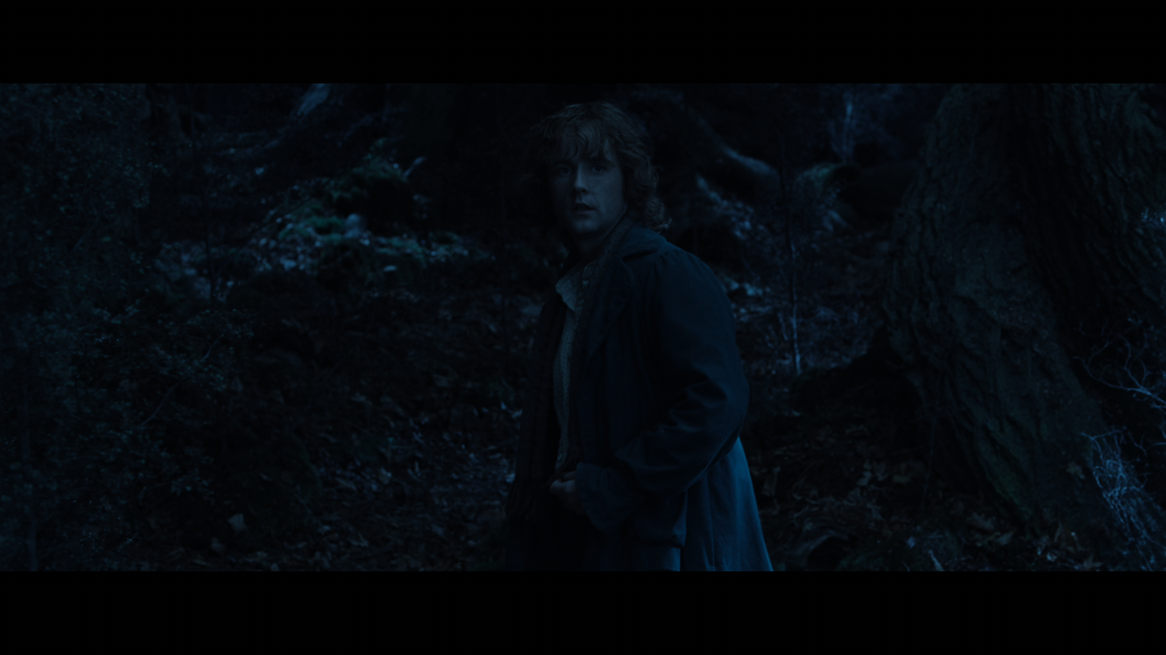 The Lord of the Rings- The Two Towers (EXT.) PT. 2.mkv_snapshot_01.06.31_[2020.12.11_21.36.34]