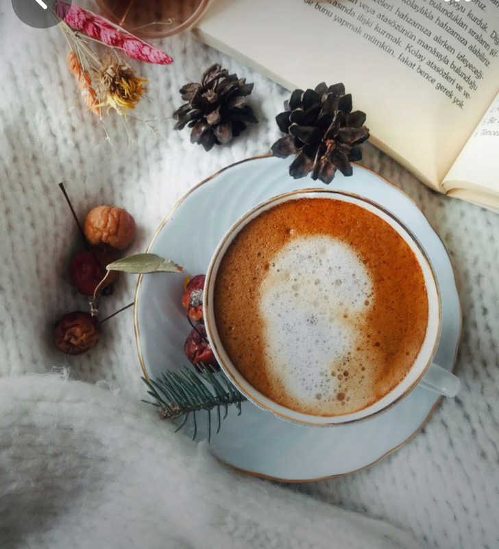 Screenshot_20231110_231756_Pinterest