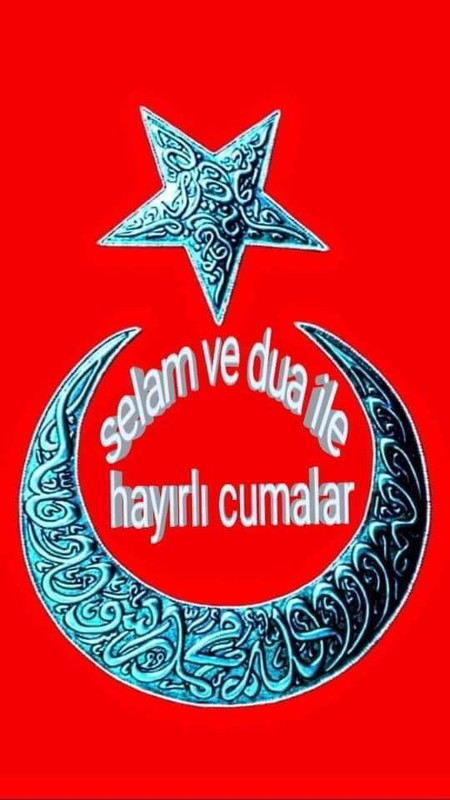 FB IMG 1723795294817