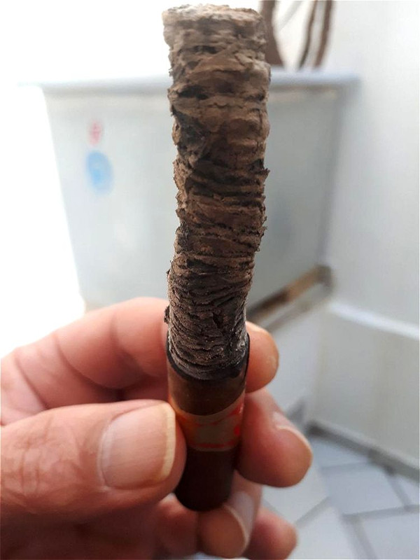 49684817703_65438c7aca_o