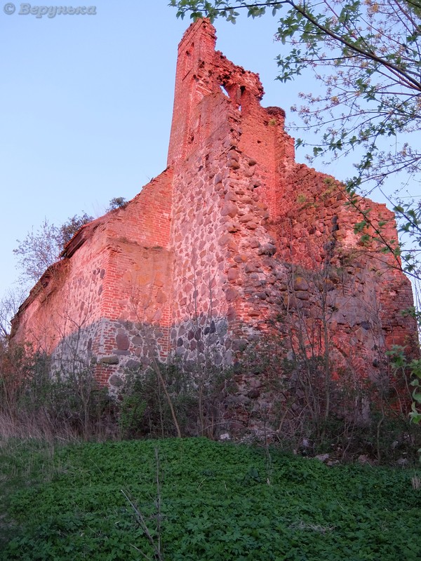DSCF4769