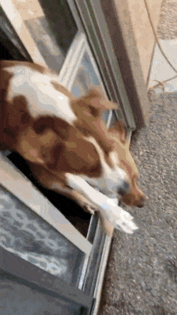 020.gif
